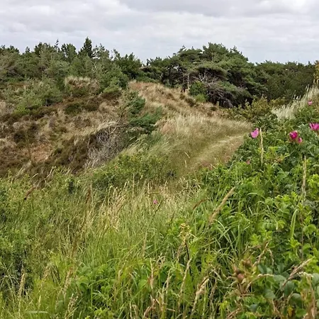 Luxury Retreat In *