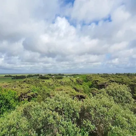 Luxury Retreat In *