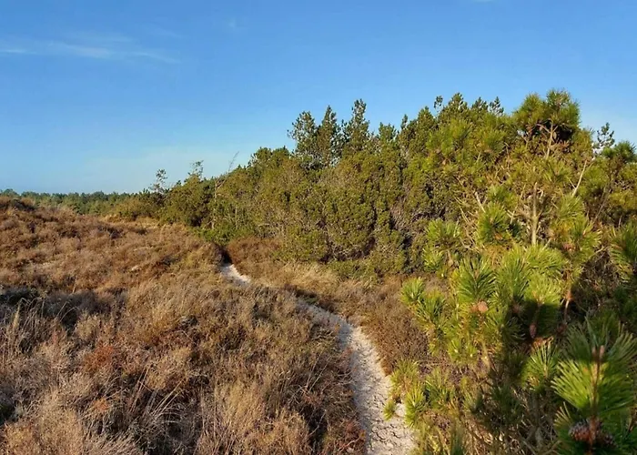 Дом отдыха Luxury Retreat In - By Traum